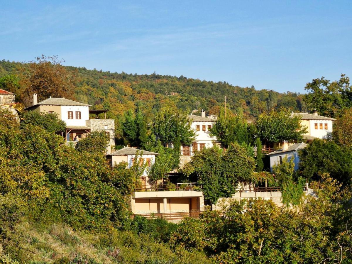Pelion Homes Villa Iris Private Pool 4 Rooms Pilion Exterior photo